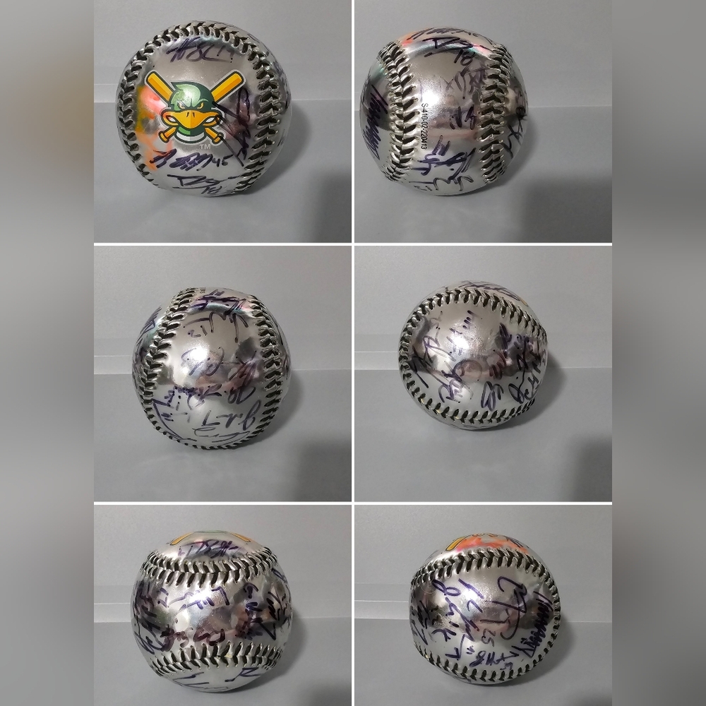 Signed Madison Mallards Silver Special Edition Baseball | NCAA